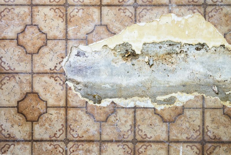 Sheet Vinyl Repair in Fort Lupton, CO